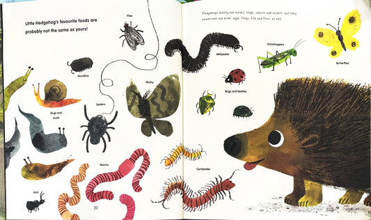 Say Hi To Hedgehogs (Paperback)
