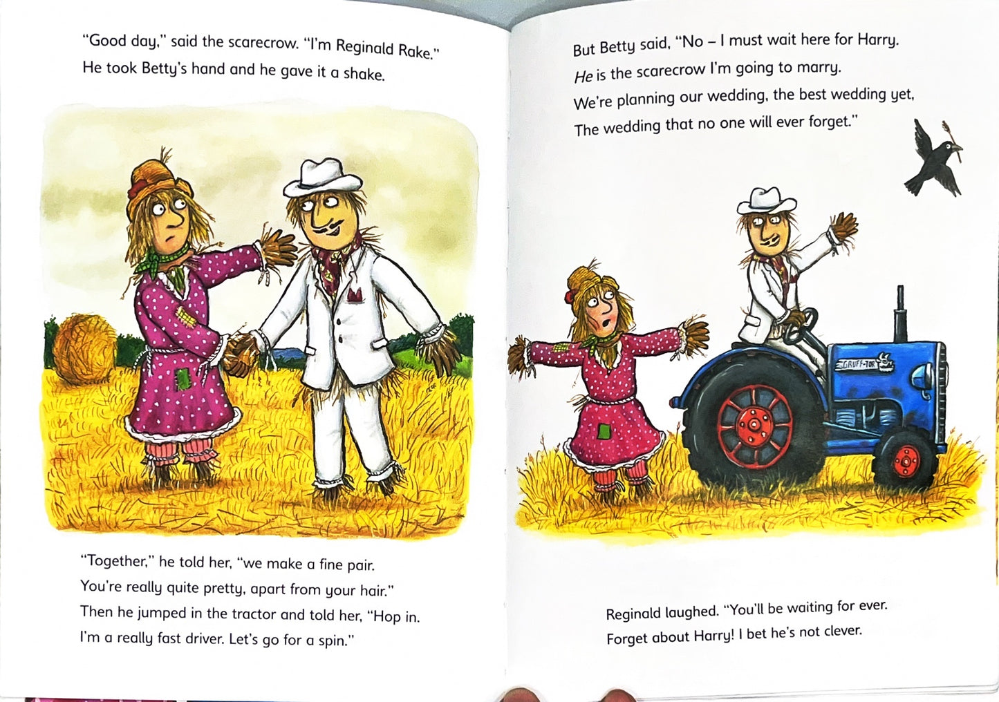 (Julia Donaldson Books in Budget (Combo)