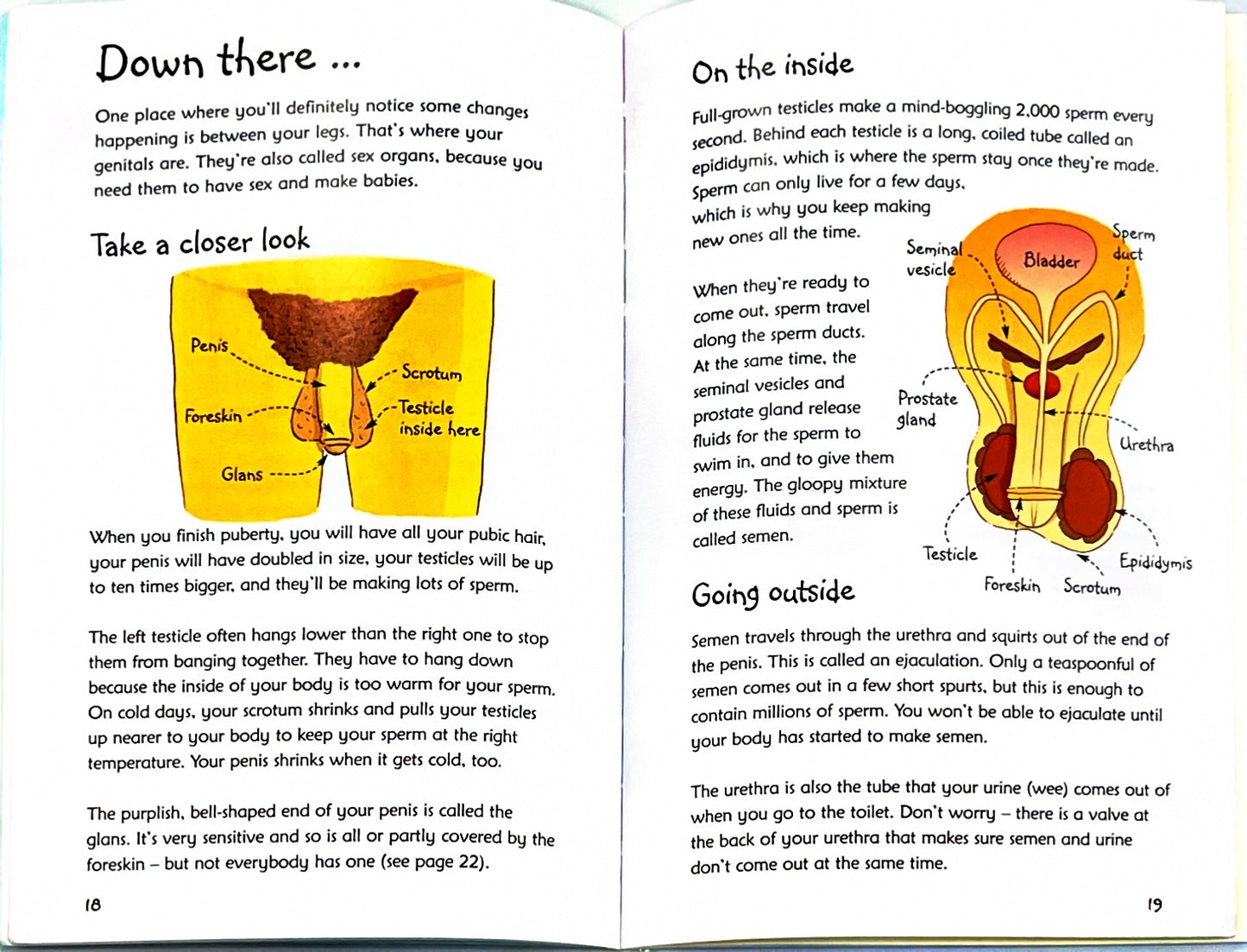 What's happening to me? (for Boys)