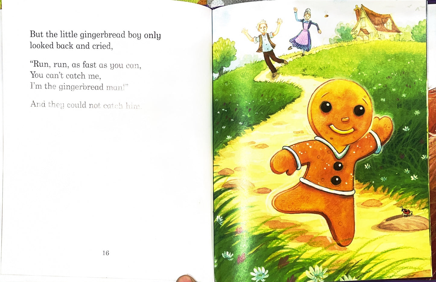 The GingerBread Man (Hardcover)