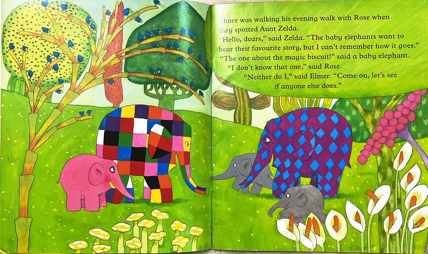 Elmer (Pocket Book)