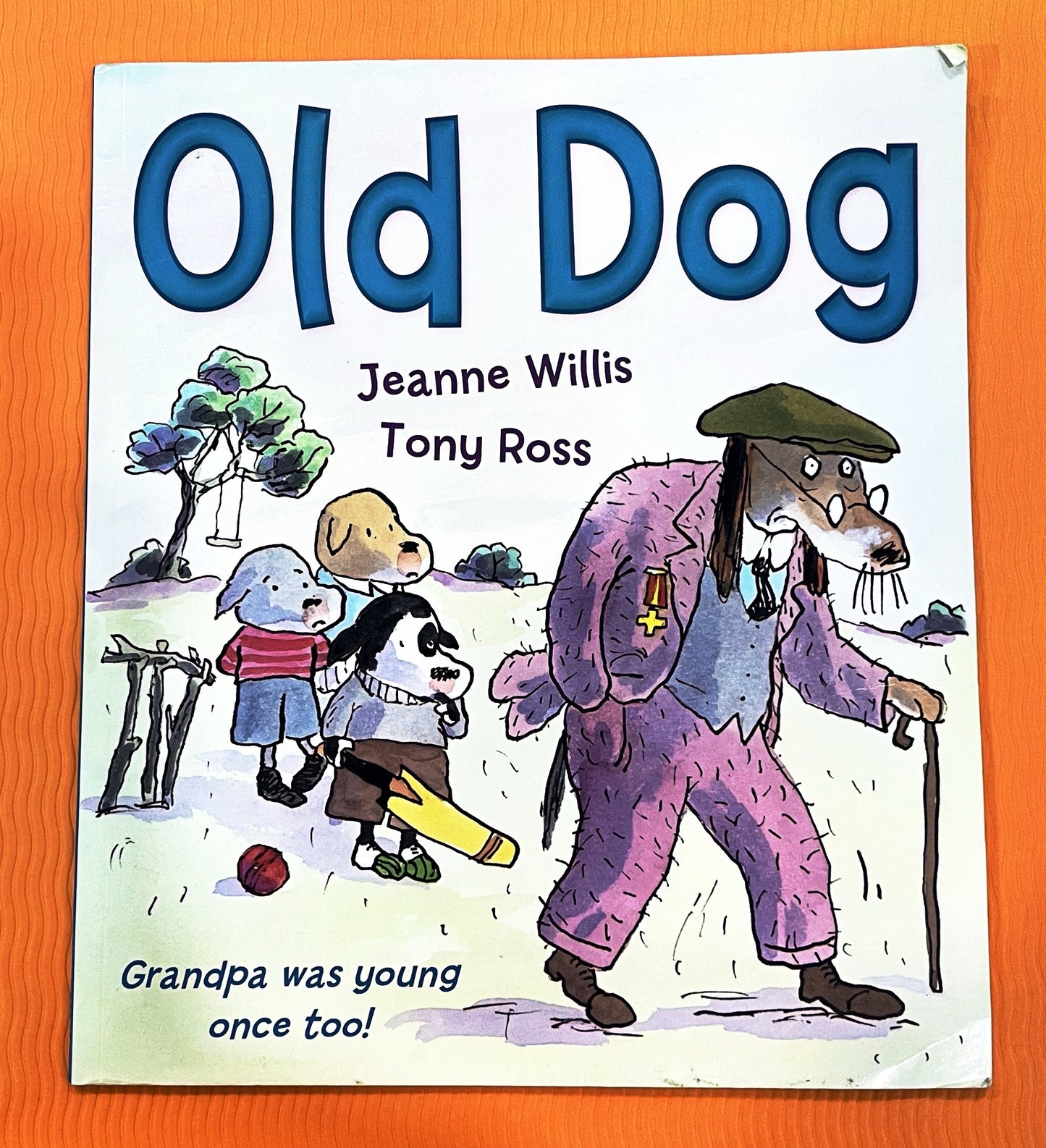 Old Dog (Paperback)