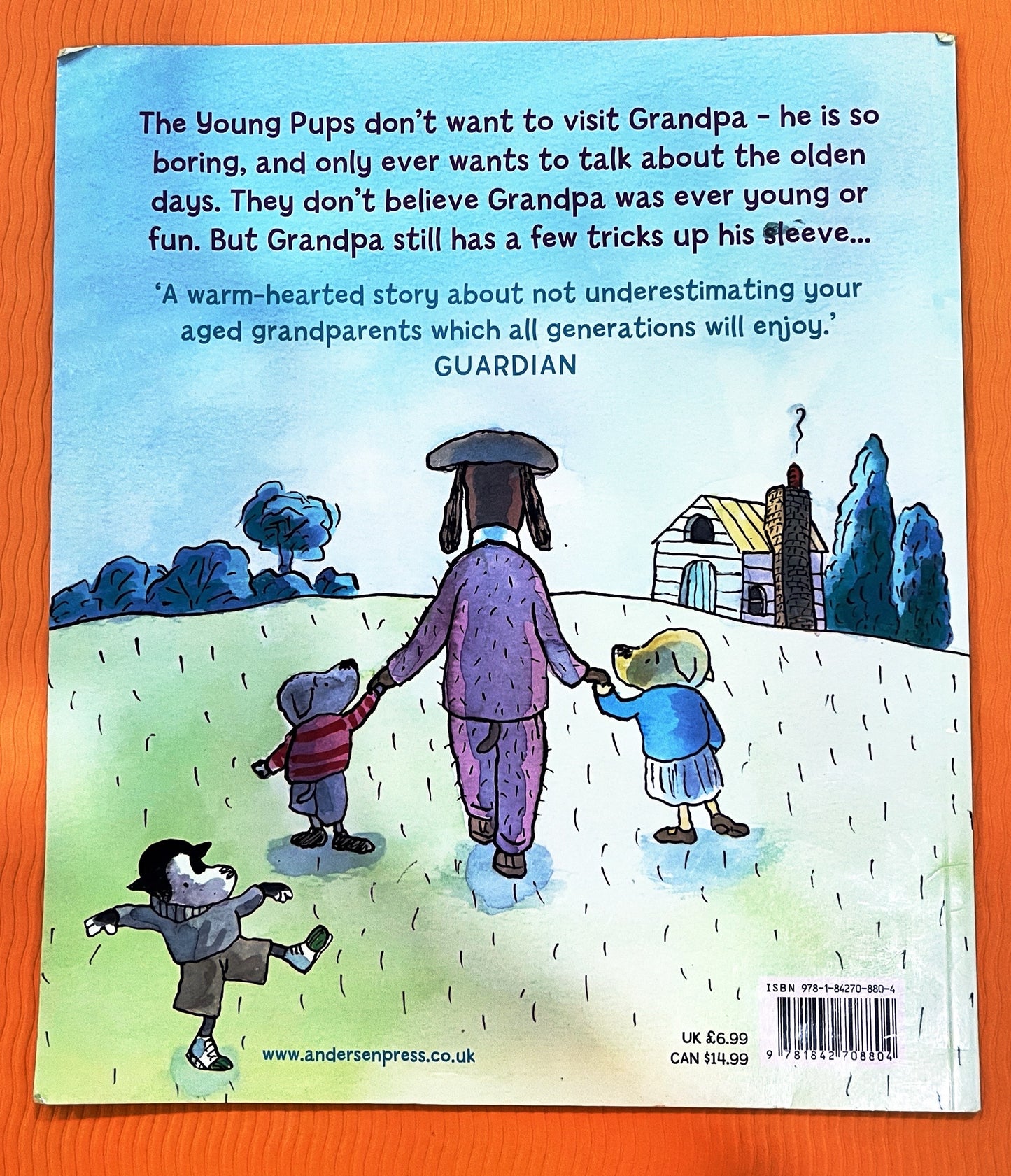 Old Dog (Paperback)