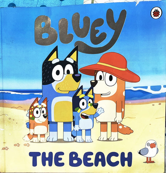 Bluey The Beach