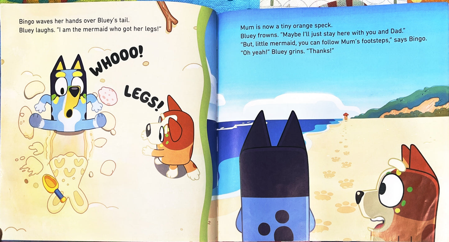 Bluey The Beach