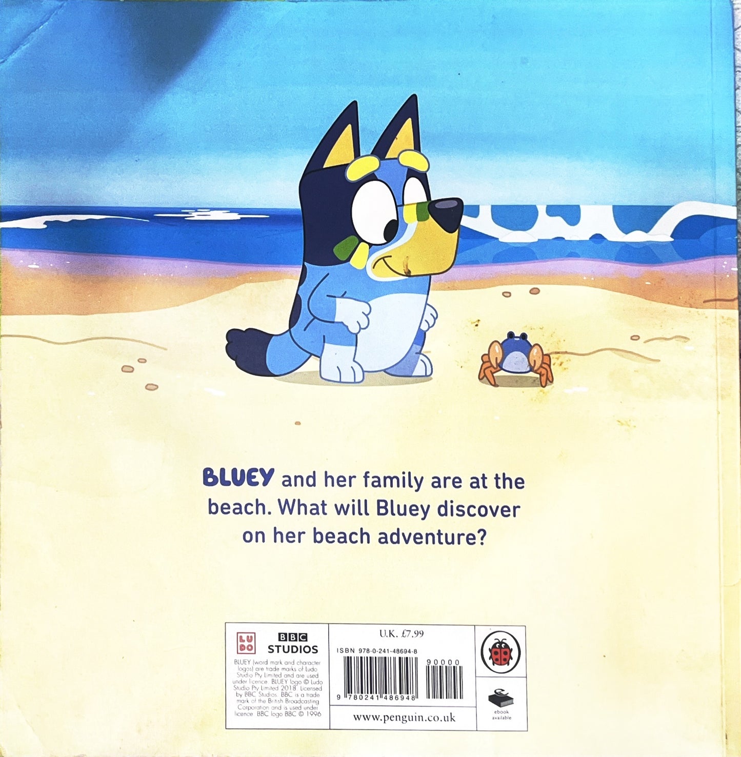 Bluey The Beach