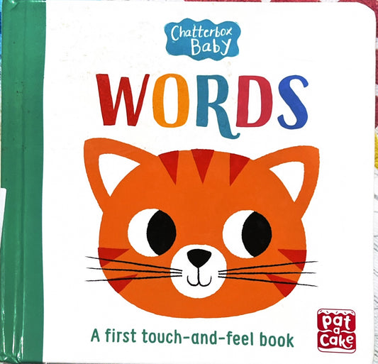 First Words (Touch and Feel Board Book)