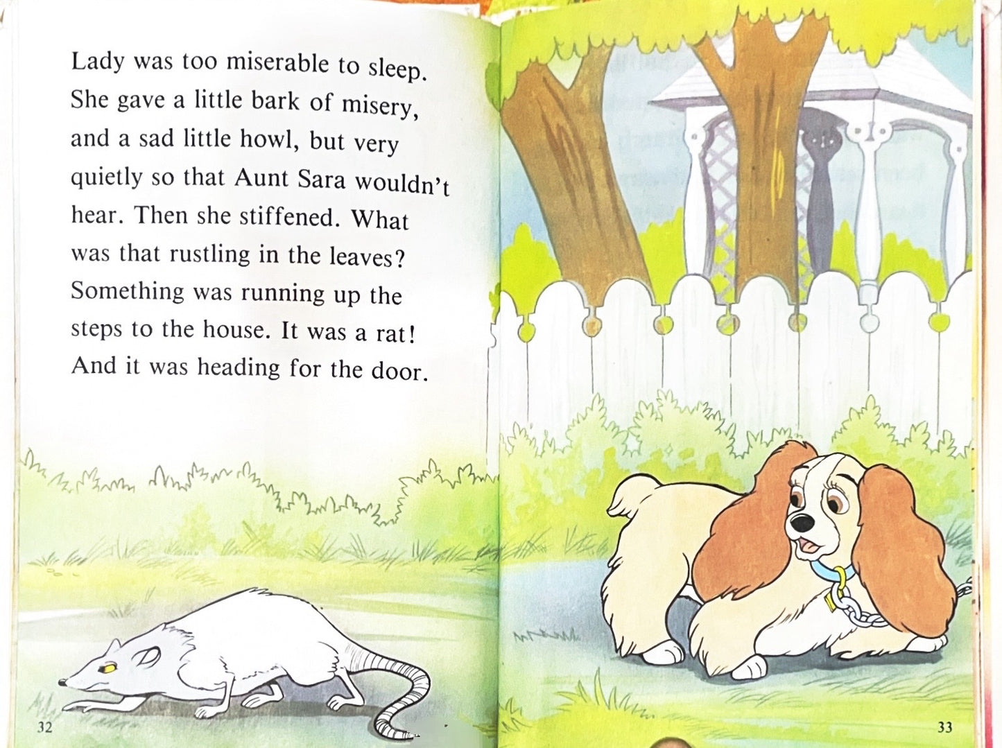Lady and the Tramp (Hardcover)