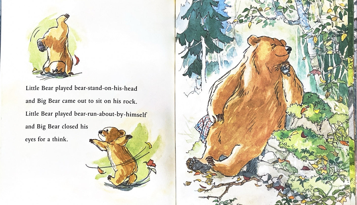 Can't you sleep little bear?