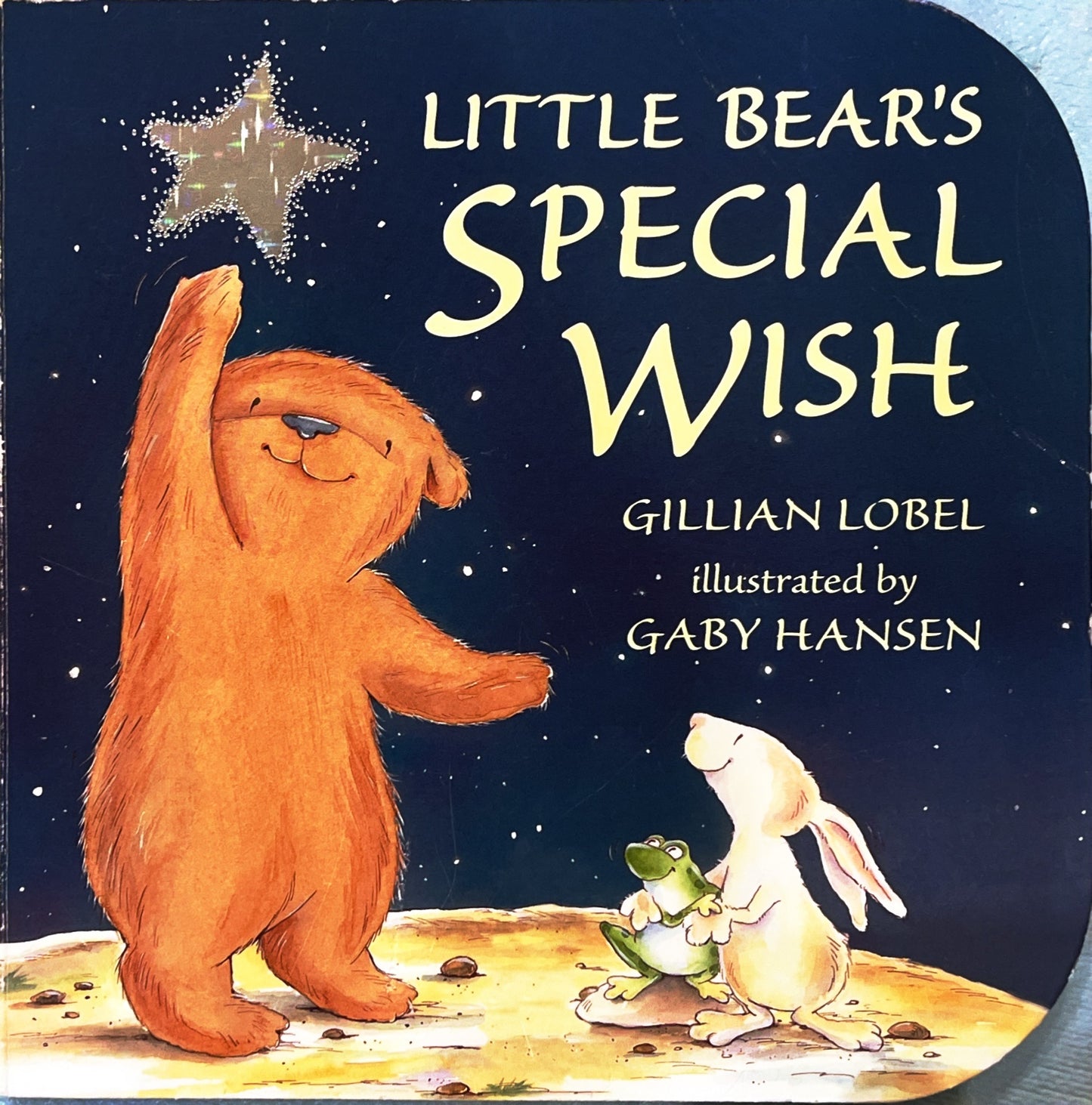 Little Bear Special Wish