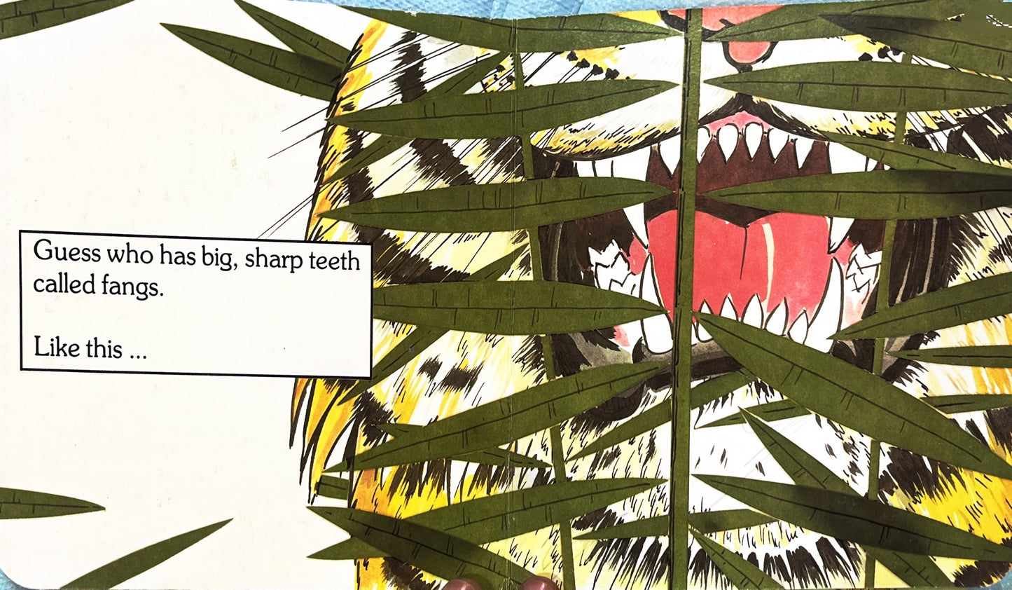 Guess who pops in the jungle? (pop up on last page)