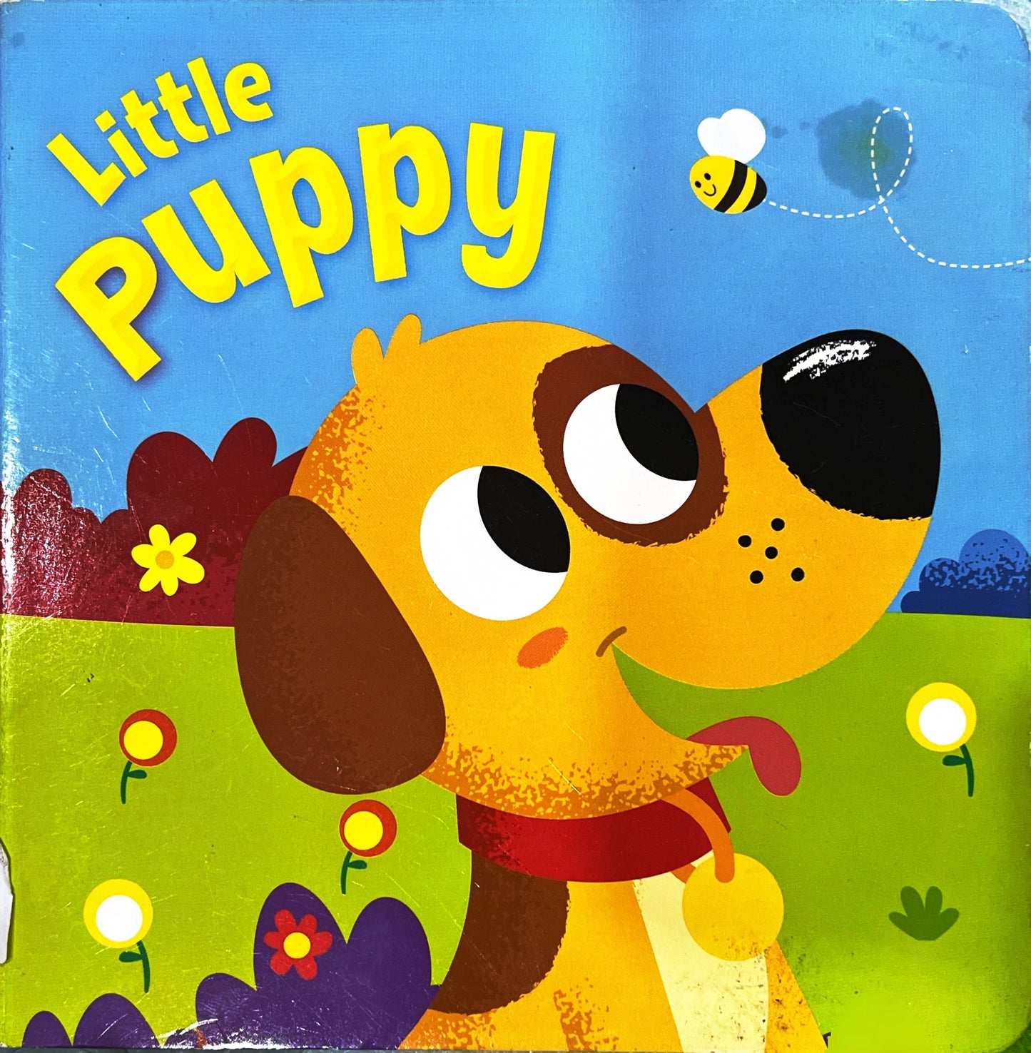 Little Puppy