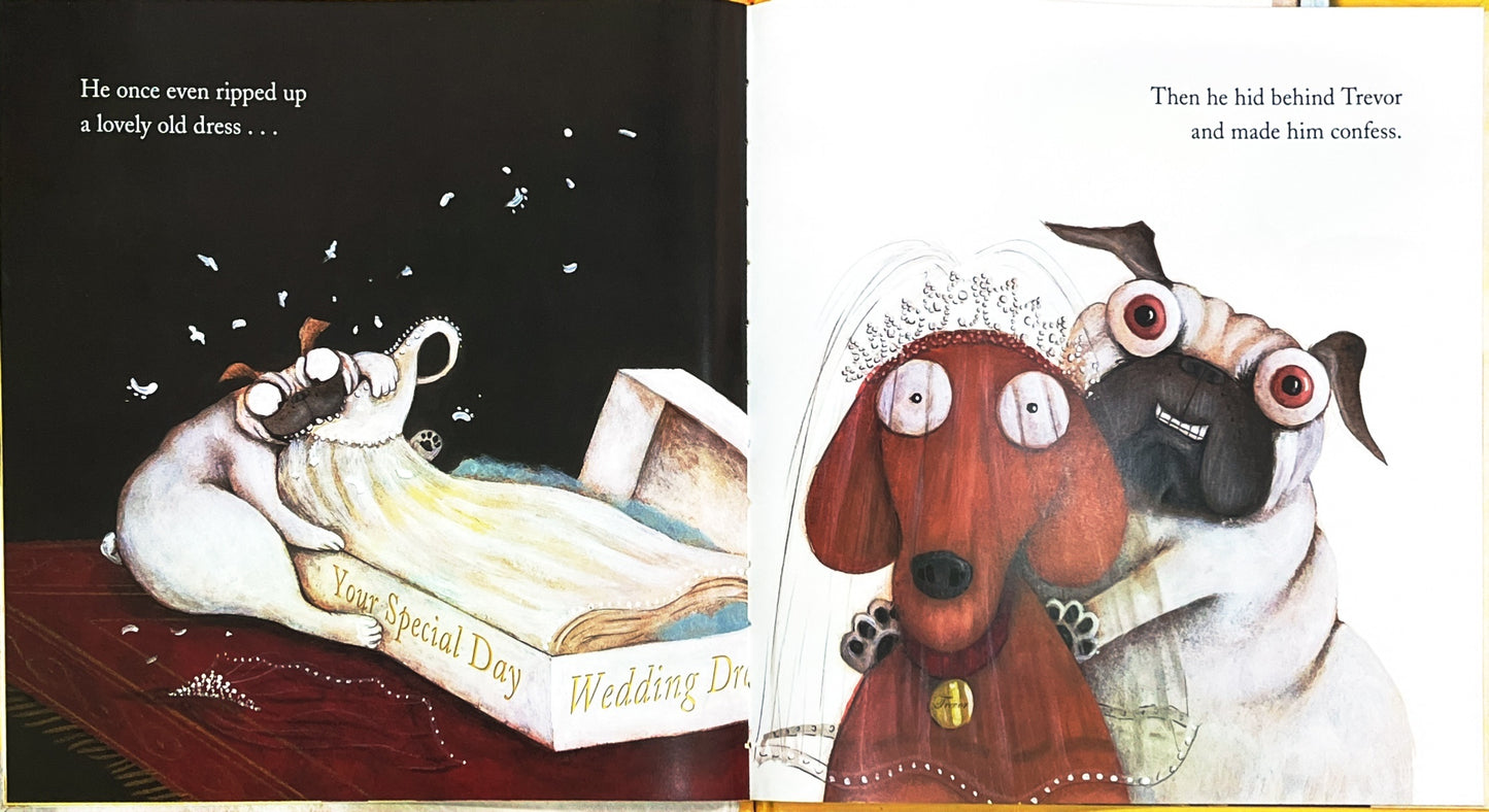 Pig the Fibber (Hardcover)