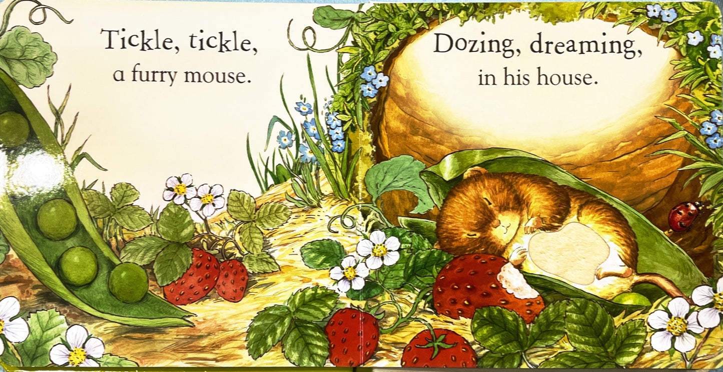 Tickle Tickle Peter (Touch and Feel Book)