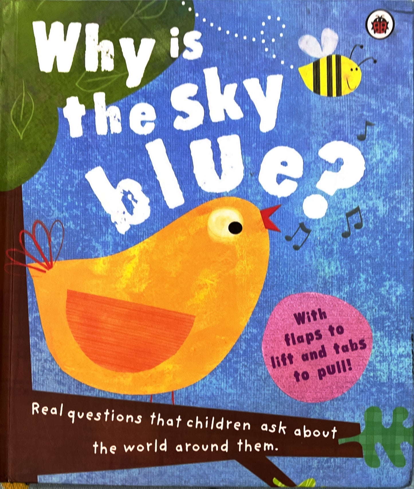 Why is sky Blue (Push and Pull)