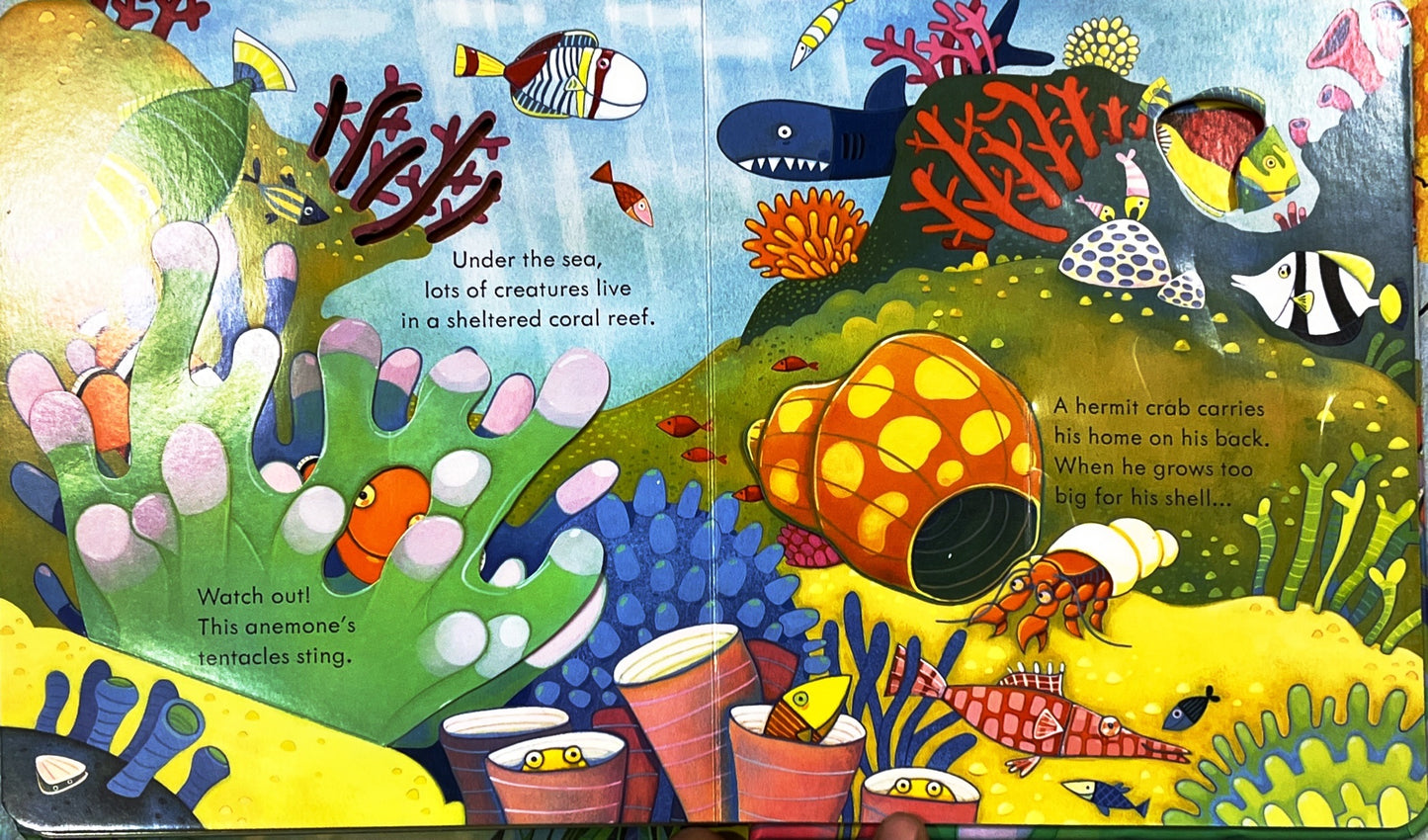 Usborne Peep Inside Animal Homes (Bestseller)