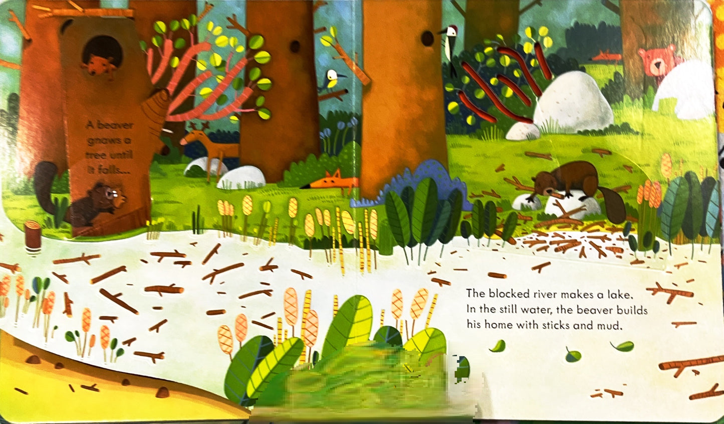 Usborne Peep Inside Animal Homes (Bestseller)