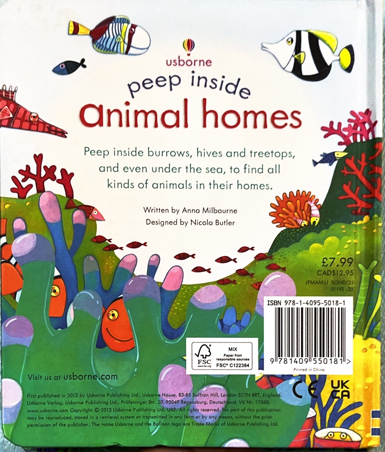 Usborne Peep Inside Animal Homes (Bestseller)