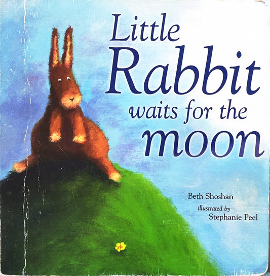 Little rabbit waits for the moon