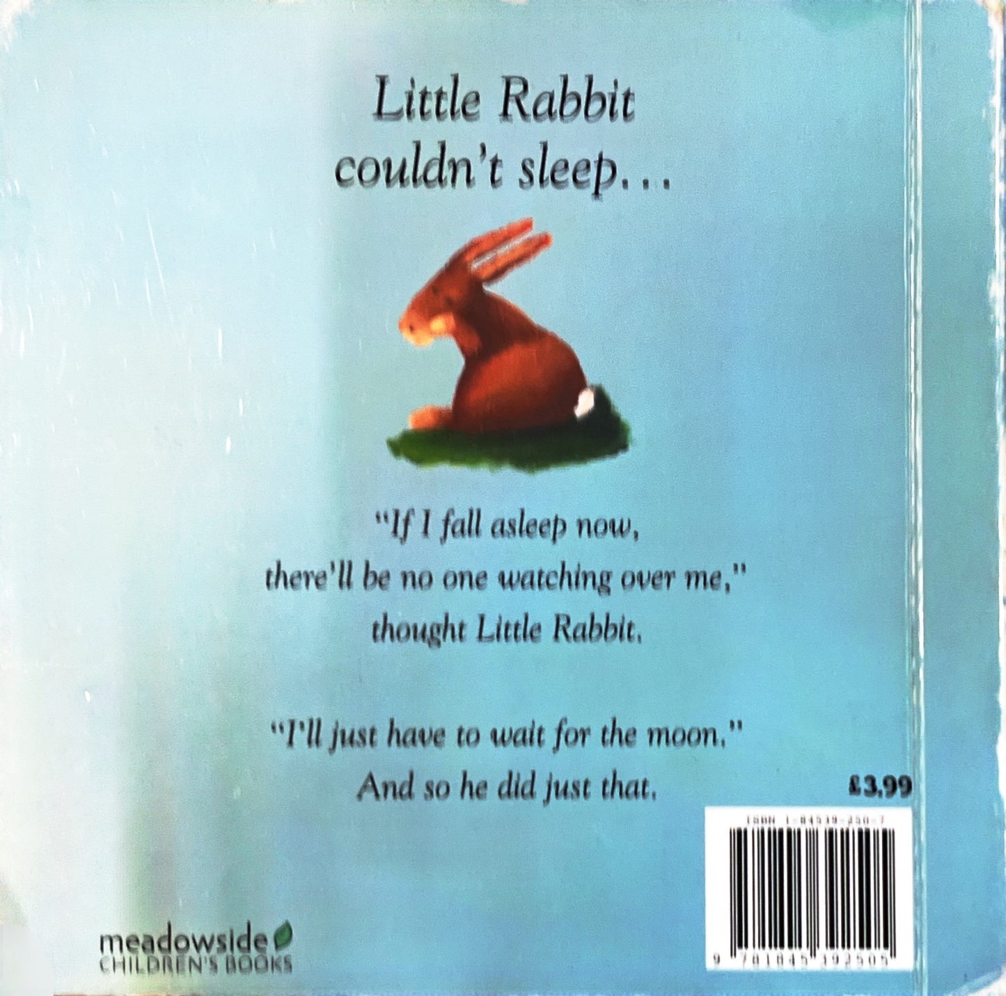 Little rabbit waits for the moon