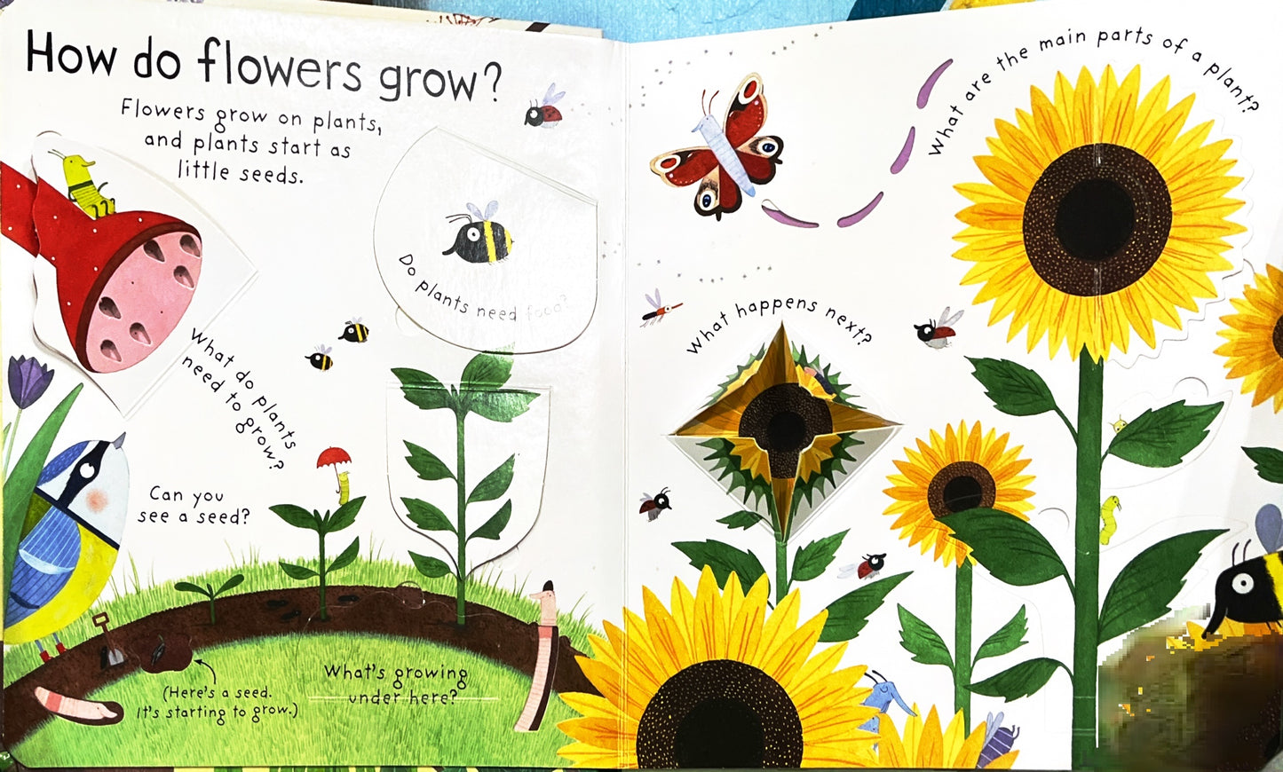 How do flowers grow? (Lift the Flaps)