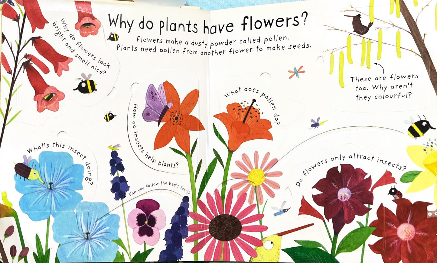 How do flowers grow? (Lift the Flaps)