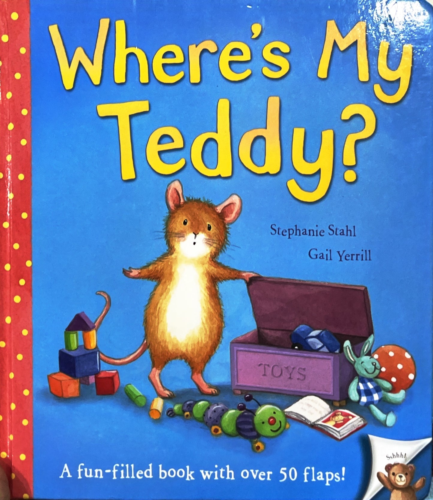 Where's Mr. Teddy? (Lift the Flaps)