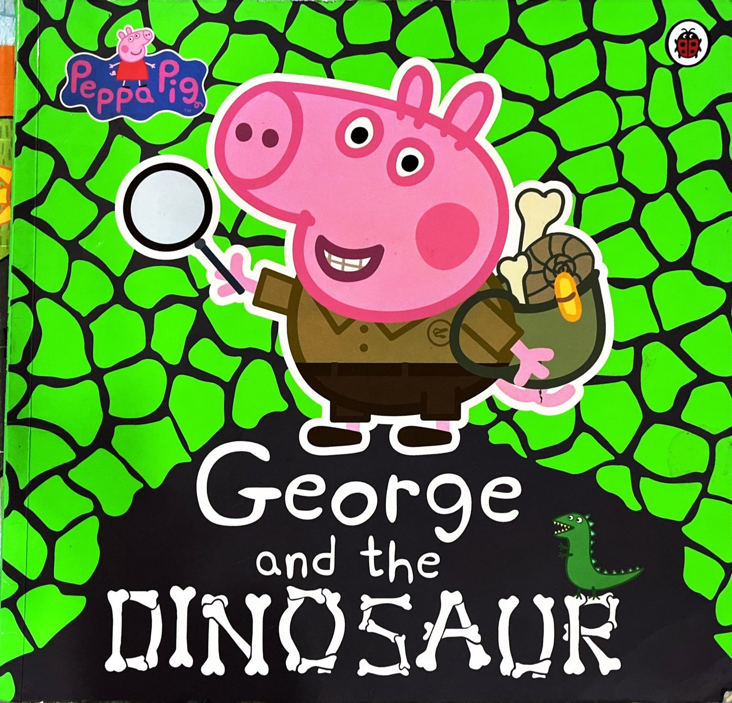 George and the Dinosaur (Paperback)