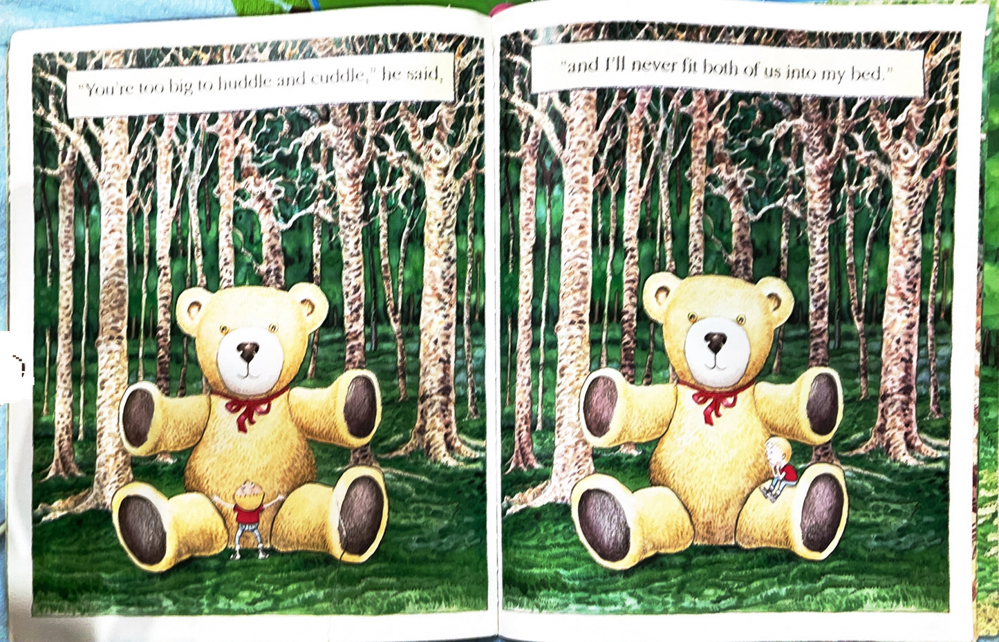 Where's Mr Teddy?