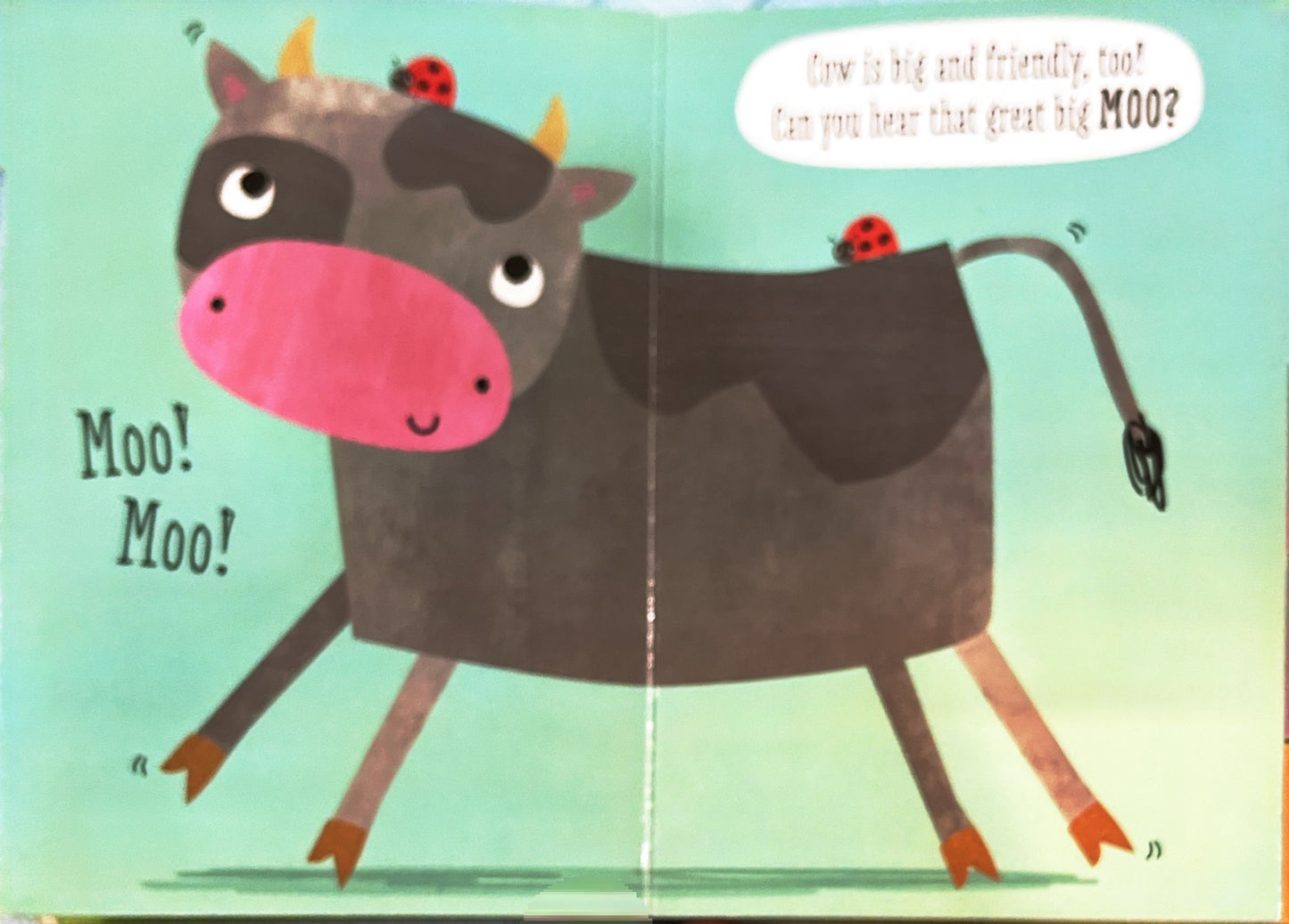 Noisy Far (Tabbed Book)
