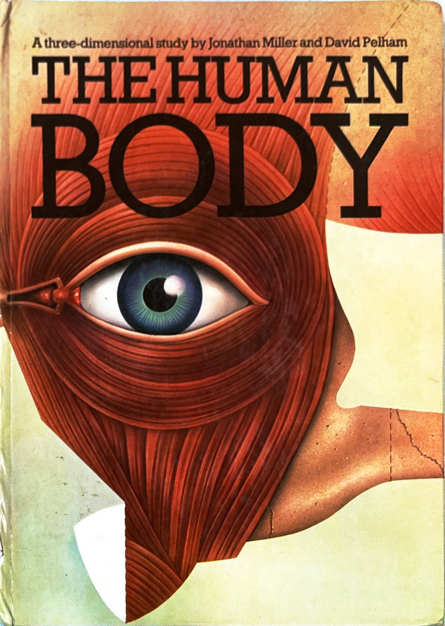 The Human Body (Pop Up + Push and Pull+ Lift the Flaps)