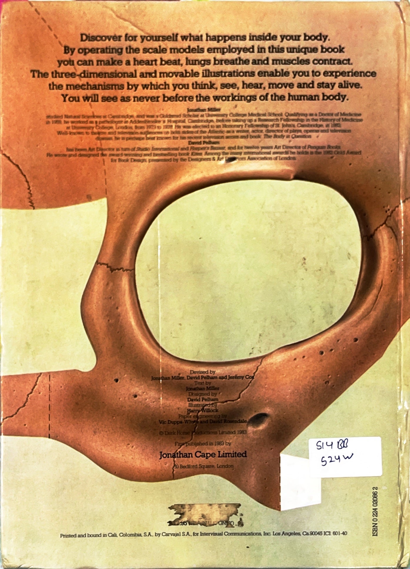 The Human Body (Pop Up + Push and Pull+ Lift the Flaps)
