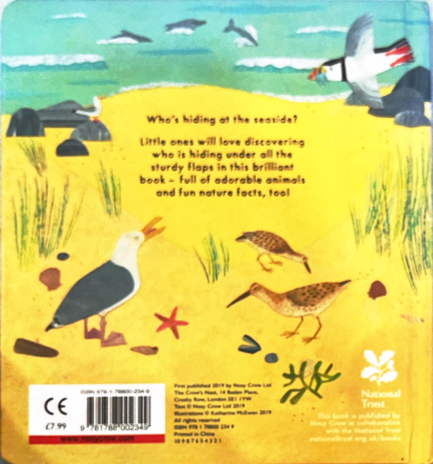Who's at the seaside (Lift the Flaps)