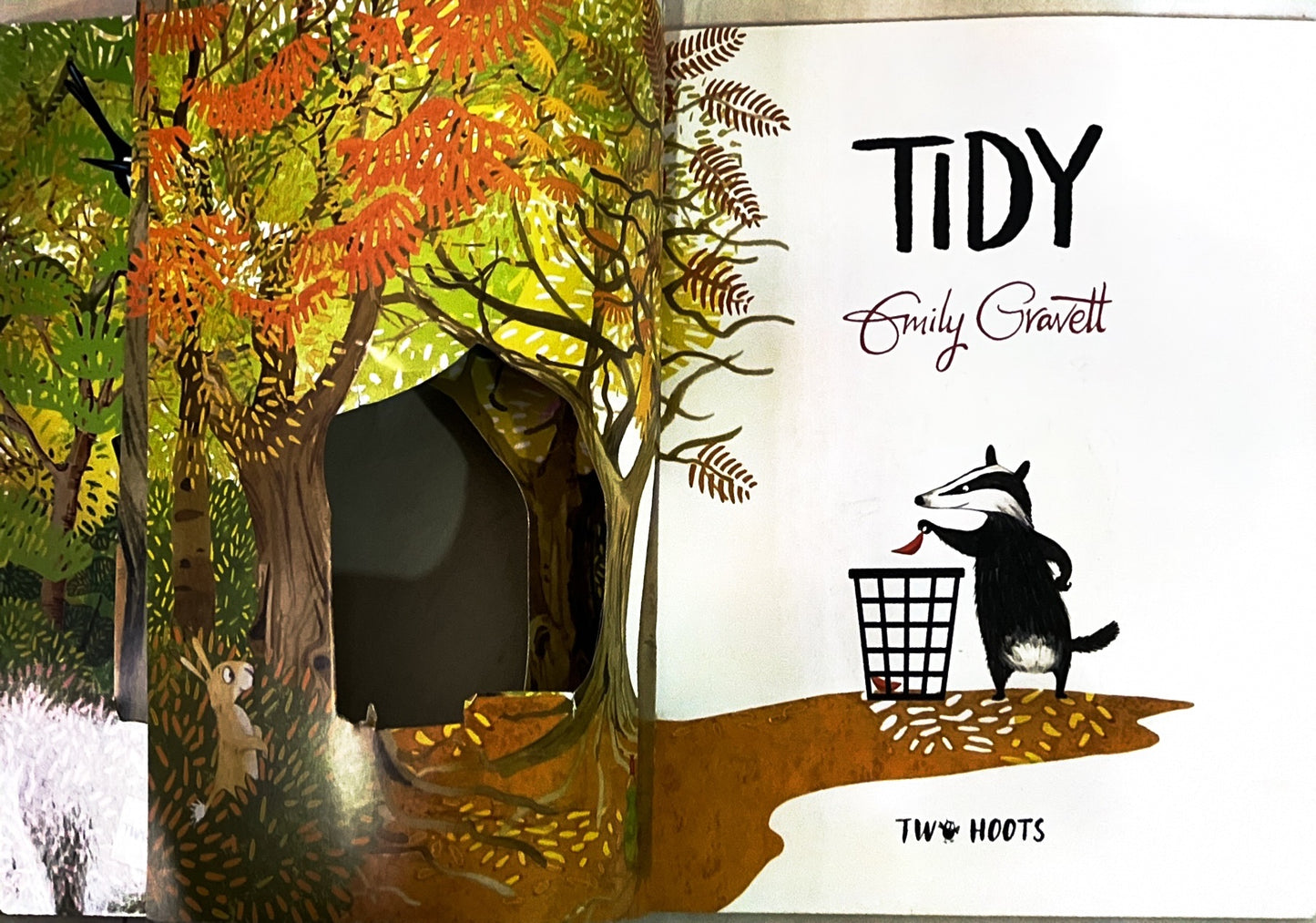 Tidy (Paperback)