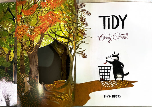 Tidy (Paperback)