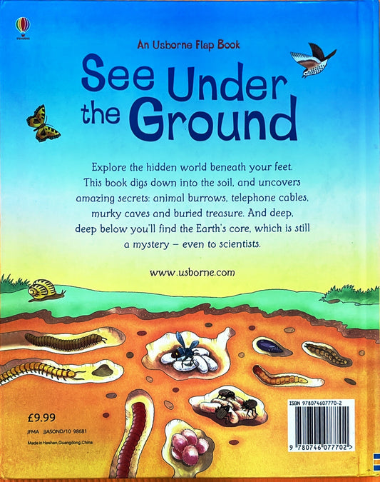 Usborne See Under the Ground (Lift the Flaps)