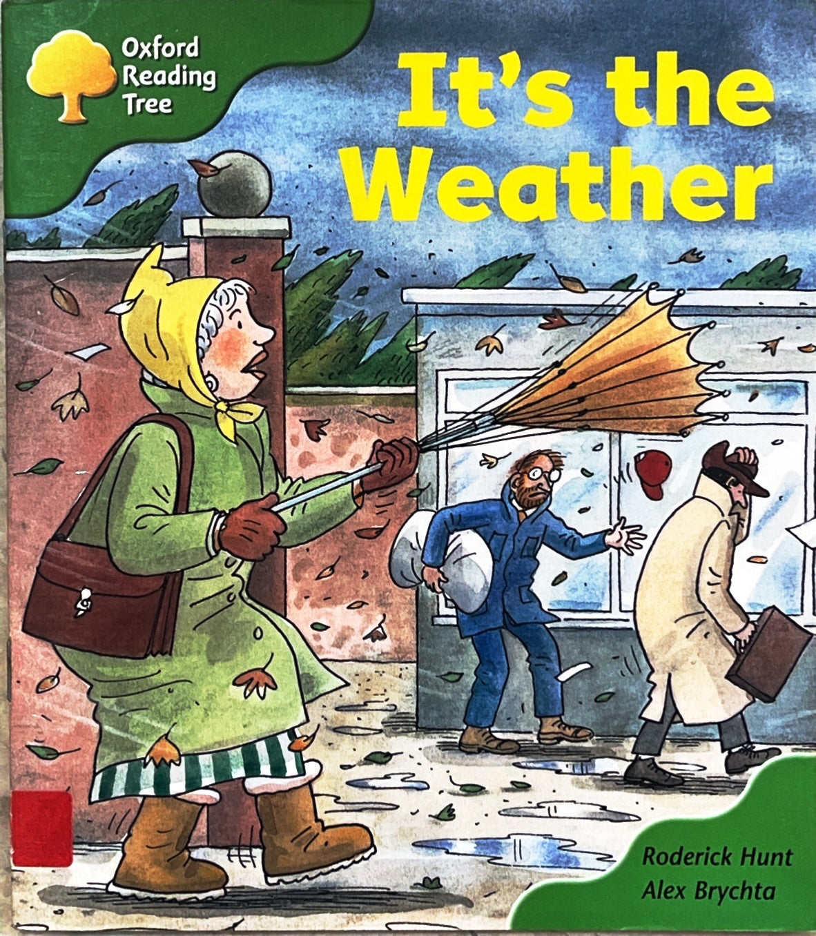 It's the Weather (Phonics)