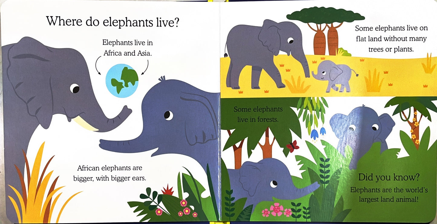 Elephant (peek A hole)