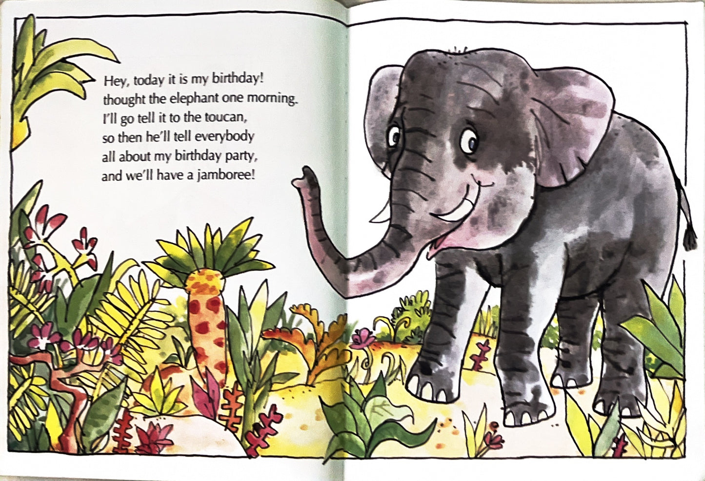 Go tell it to Toucan (Paperback)