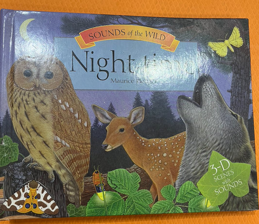 Night Time by Maurice Pledger (Pop up)