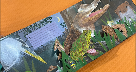 Night Time by Maurice Pledger (Pop up)