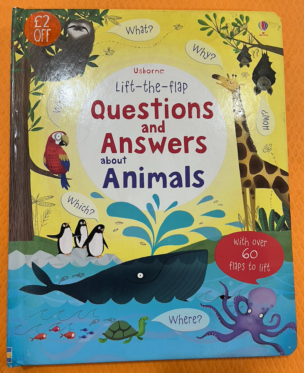 Questions and Answers about Animals (Lift the Flaps)