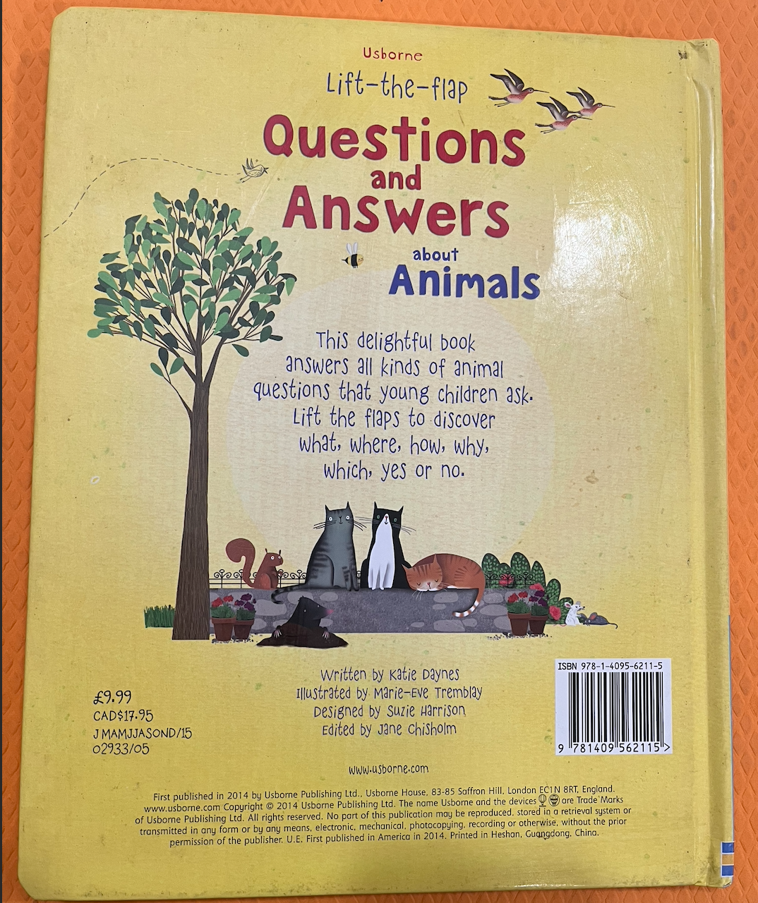 Questions and Answers about Animals (Lift the Flaps)