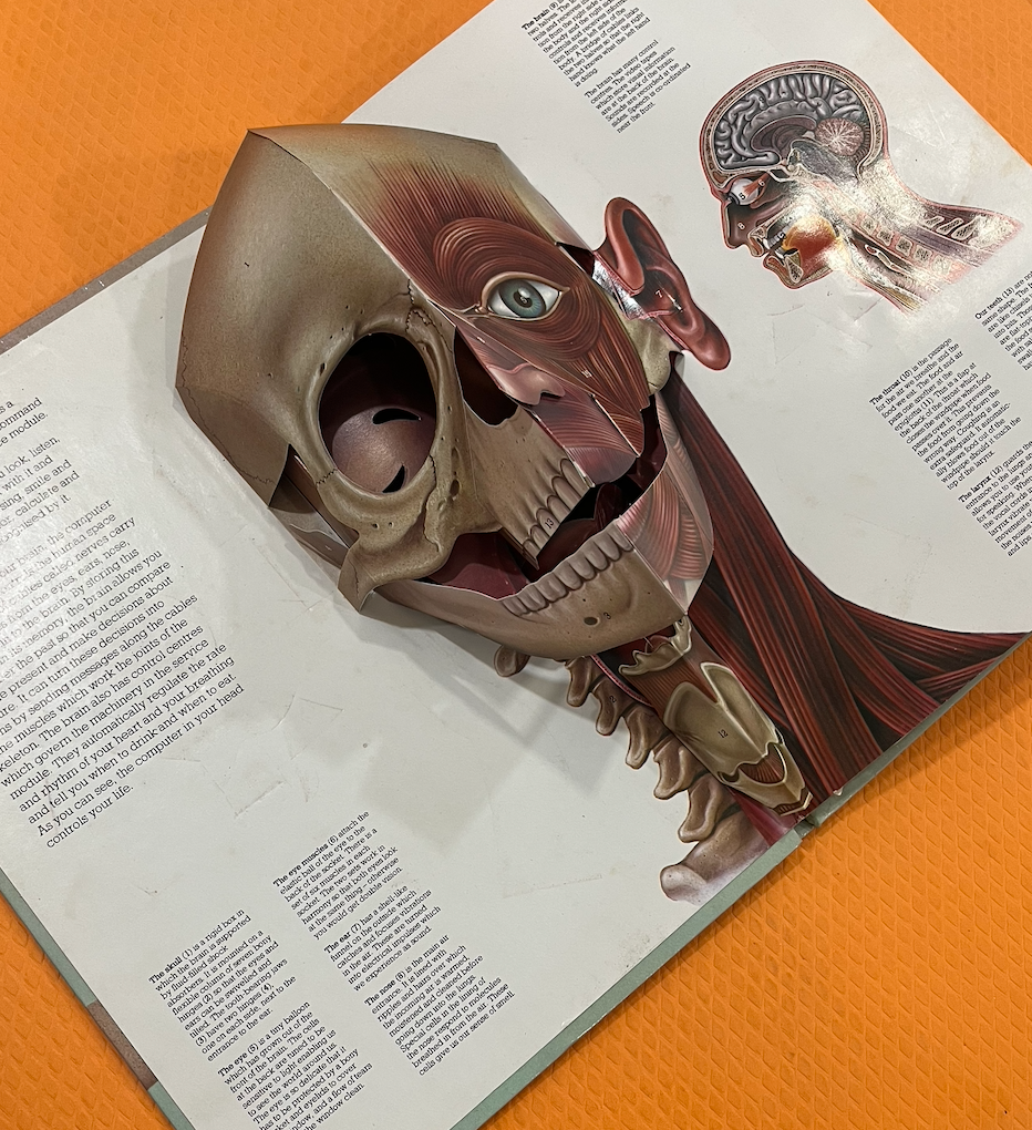The Human Body (Pop Up + Push and Pull+ Lift the Flaps)