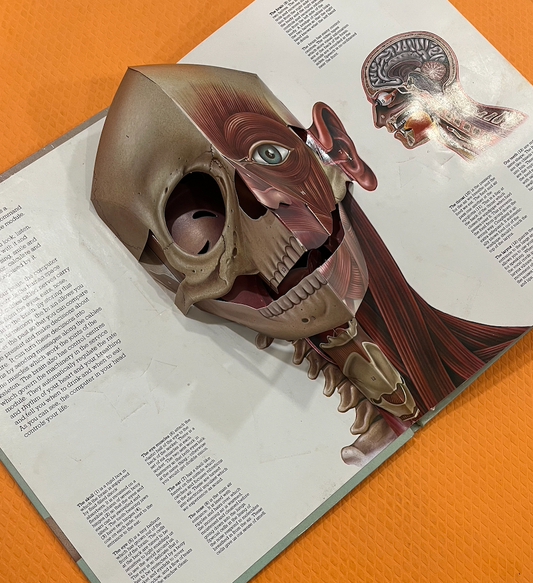 The Human Body (Pop Up + Push and Pull+ Lift the Flaps)