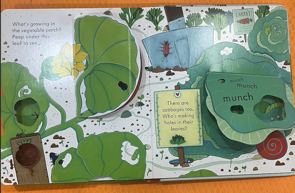 Usborne Peep Inside the Garden (Lift the Flaps)