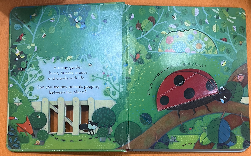Usborne Peep Inside the Garden (Lift the Flaps)