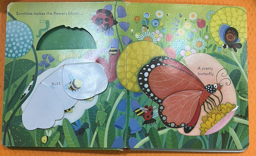 Usborne Peep Inside the Garden (Lift the Flaps)
