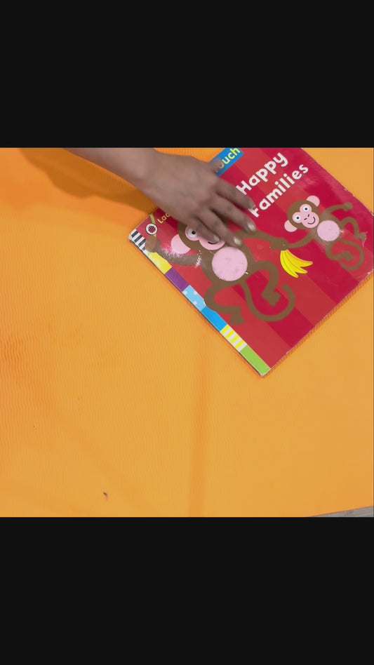 Happy families (Touch and Feel)