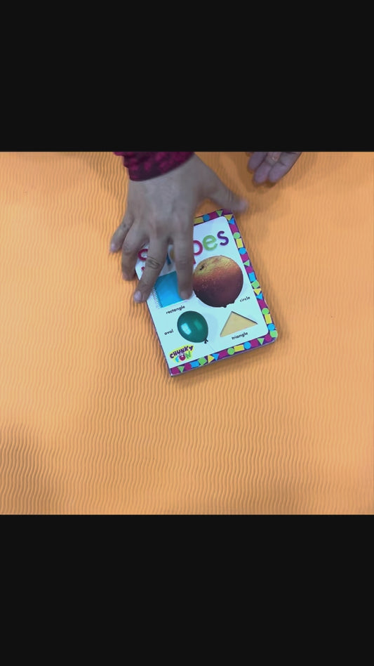 Shapes (Wipe and Clean)
